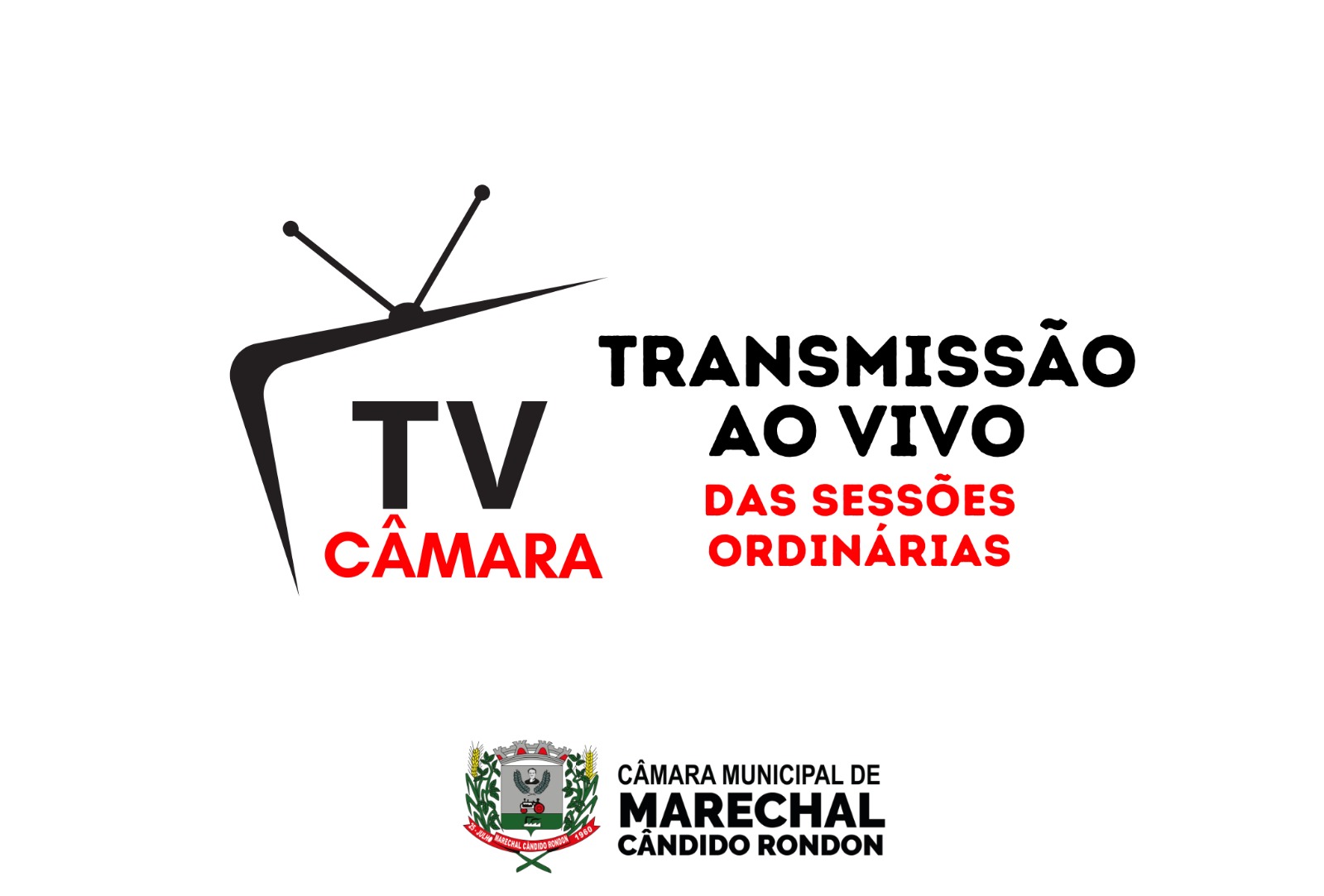 ASSISTA A 19ª SESSÃO ORDINÁRIA DE 08/06/2026