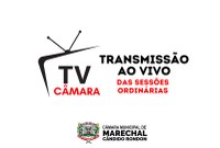 ASSISTA A 19ª SESSÃO ORDINÁRIA DE 08/06/2026