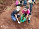 Poder Público e entidades realizam limpeza do Arroio Bonito e plantio de árvores