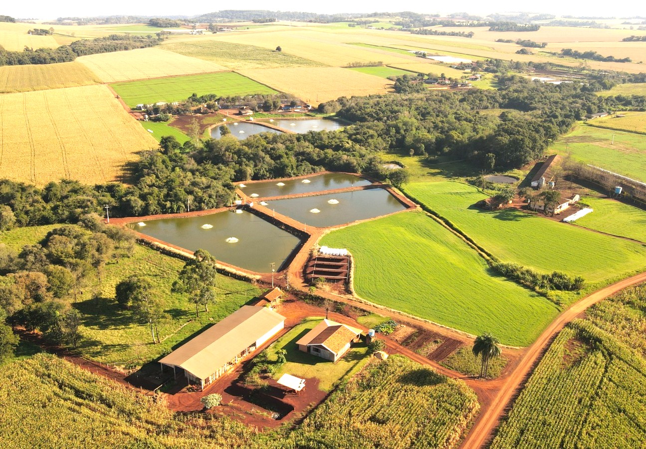 Prefeitura pretende criar programa municipal de desenvolvimento agropecuário